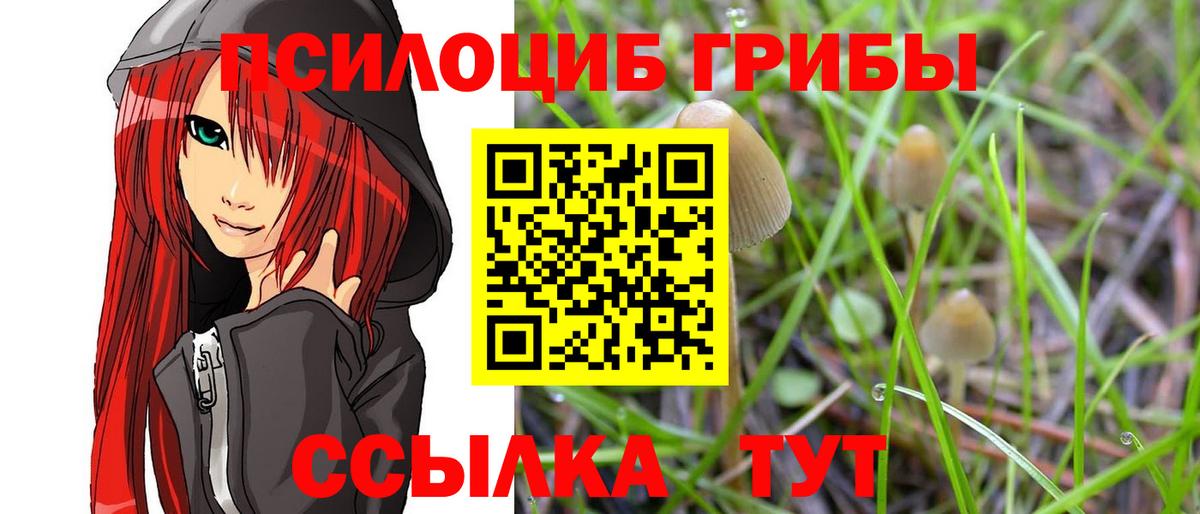 Псилоцибиновые грибы мухоморы Дивногорск